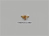 藏品(螟蛾209)的圖片